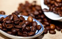 Tutte le varietà del caffè: caratteristiche e differenze